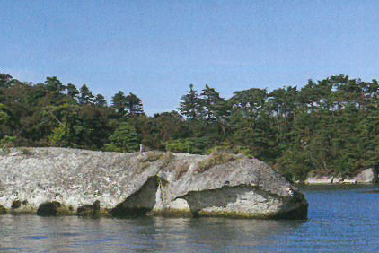 子馬